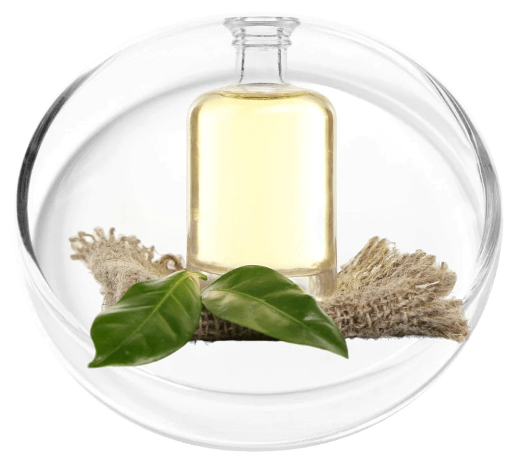 Camphor oil for KeraFirm Pro